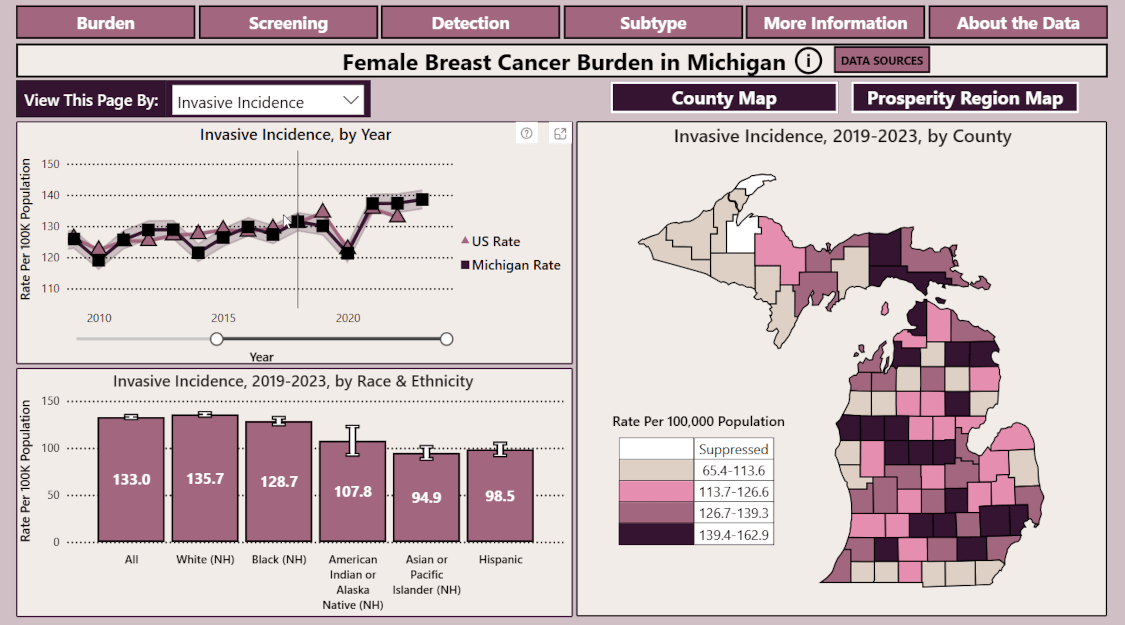 thumbnail image of opening page of Michigan Female Breast Cancer Dashboard