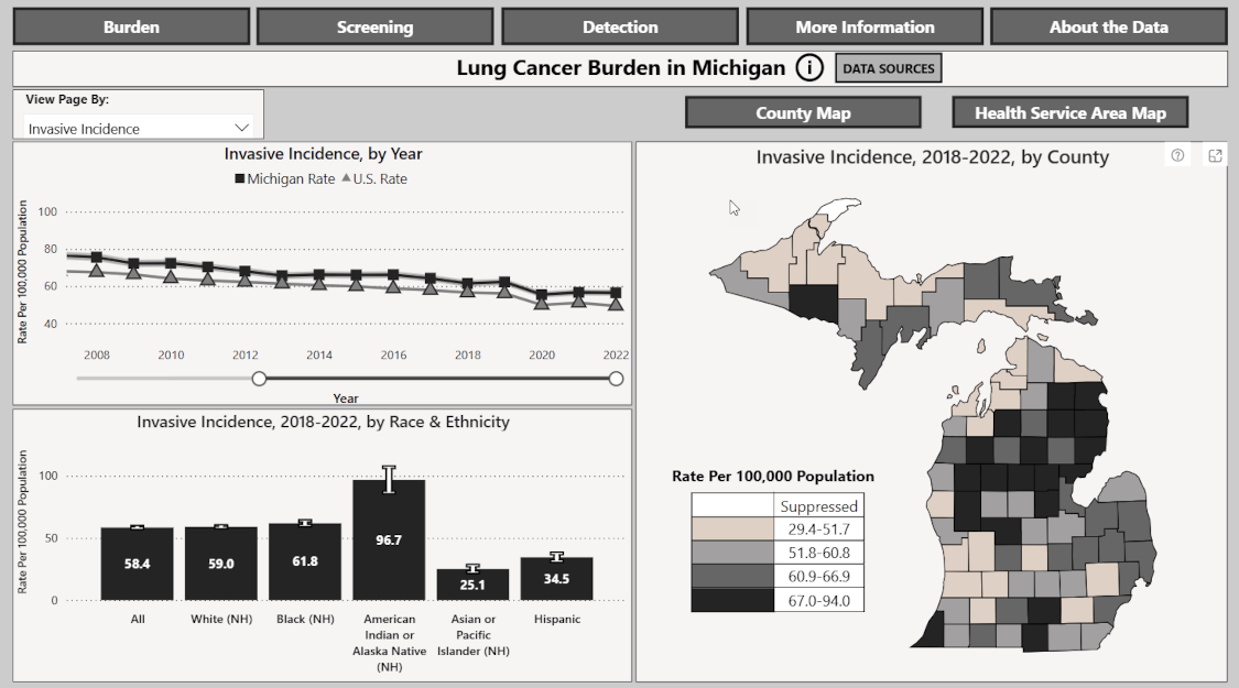 thumbnail image of opening page of Michigan Lung Cancer Dashboard