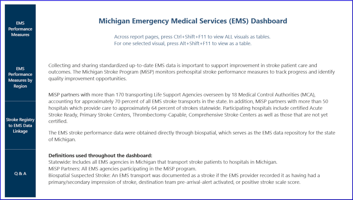 screenshot of first page of Emergency Medical Service (EMS) Stroke Care Performance Dashboard