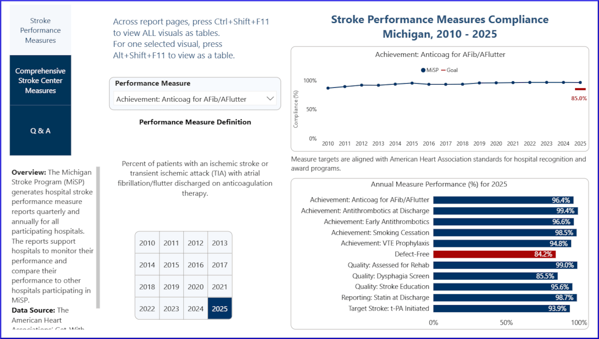 screenshot of first page of Michigan Hospital Stroke Care Performance Dashboard