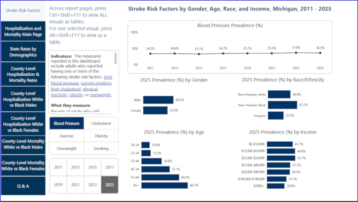 Screenshot of Stroke Risk Factor Prevalence, Hospitalization Rates, and Mortality Rates Dashboard