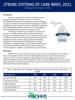 first page of Michigan Stroke Program Stroke Systems of Care Brief, 2021