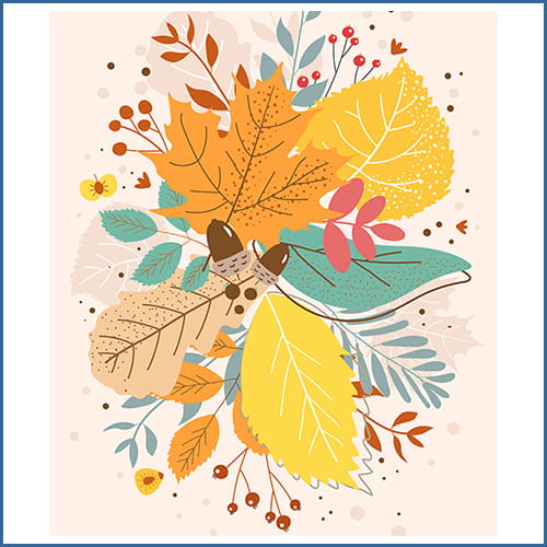 what's new fall