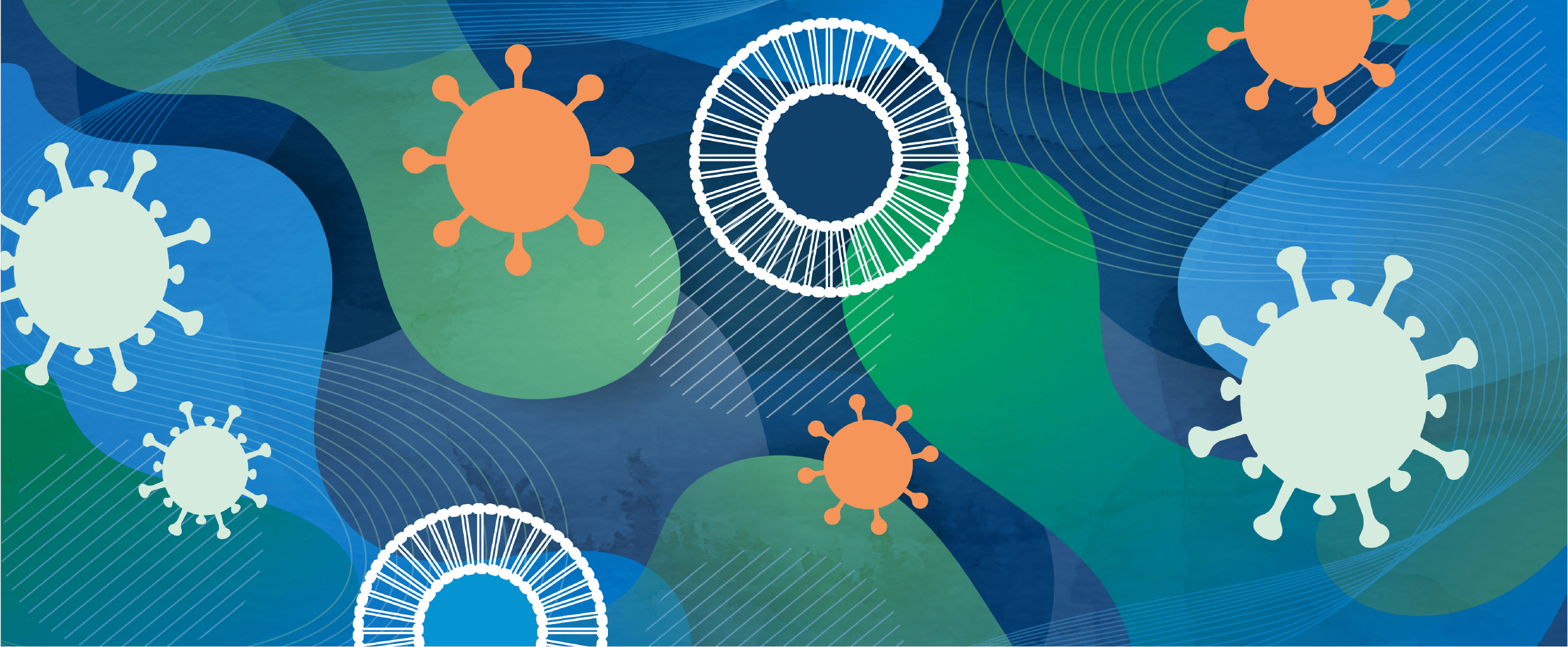 Seasonal Respiratory Viruses banner