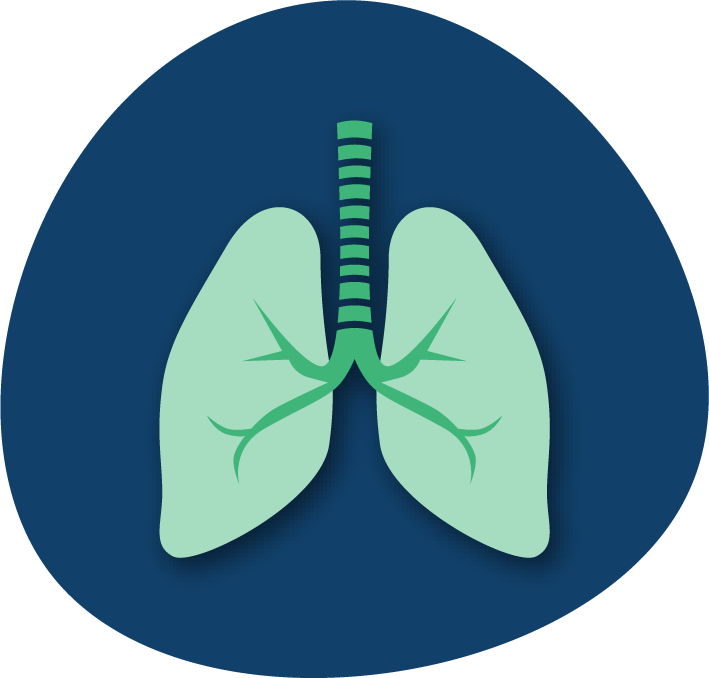 RSV Lungs icon