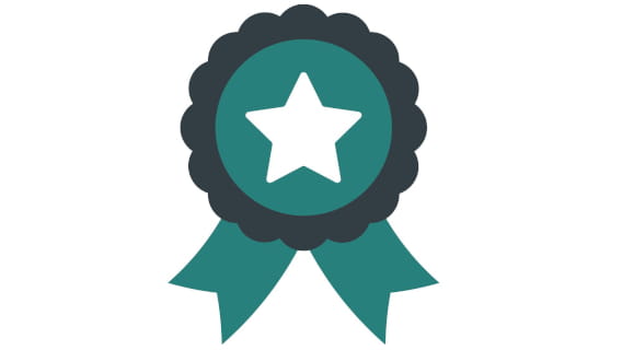 navigation icon for Michigan Local Public Health Accreditation Program website