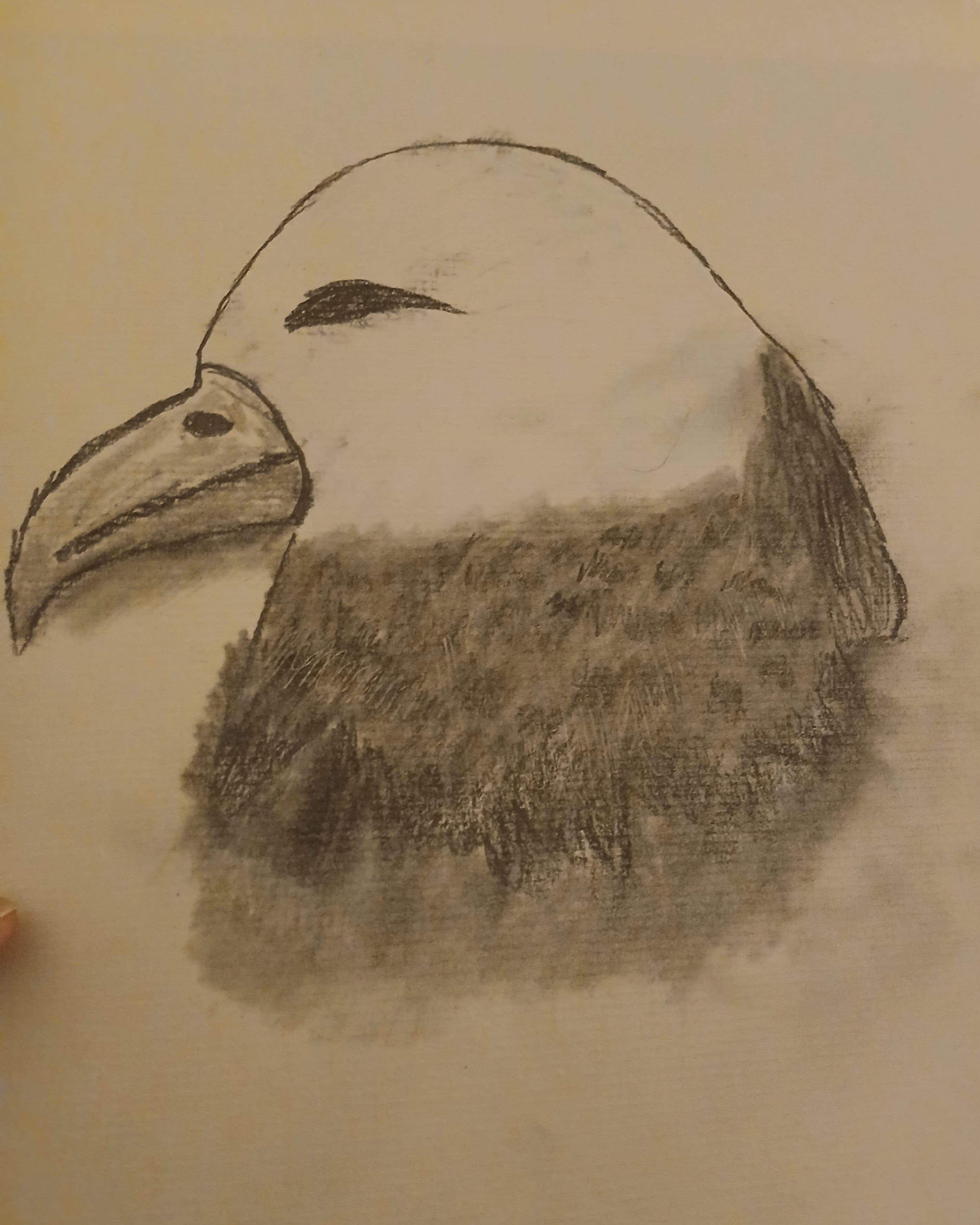 Miriam Taylor - Eagle Head