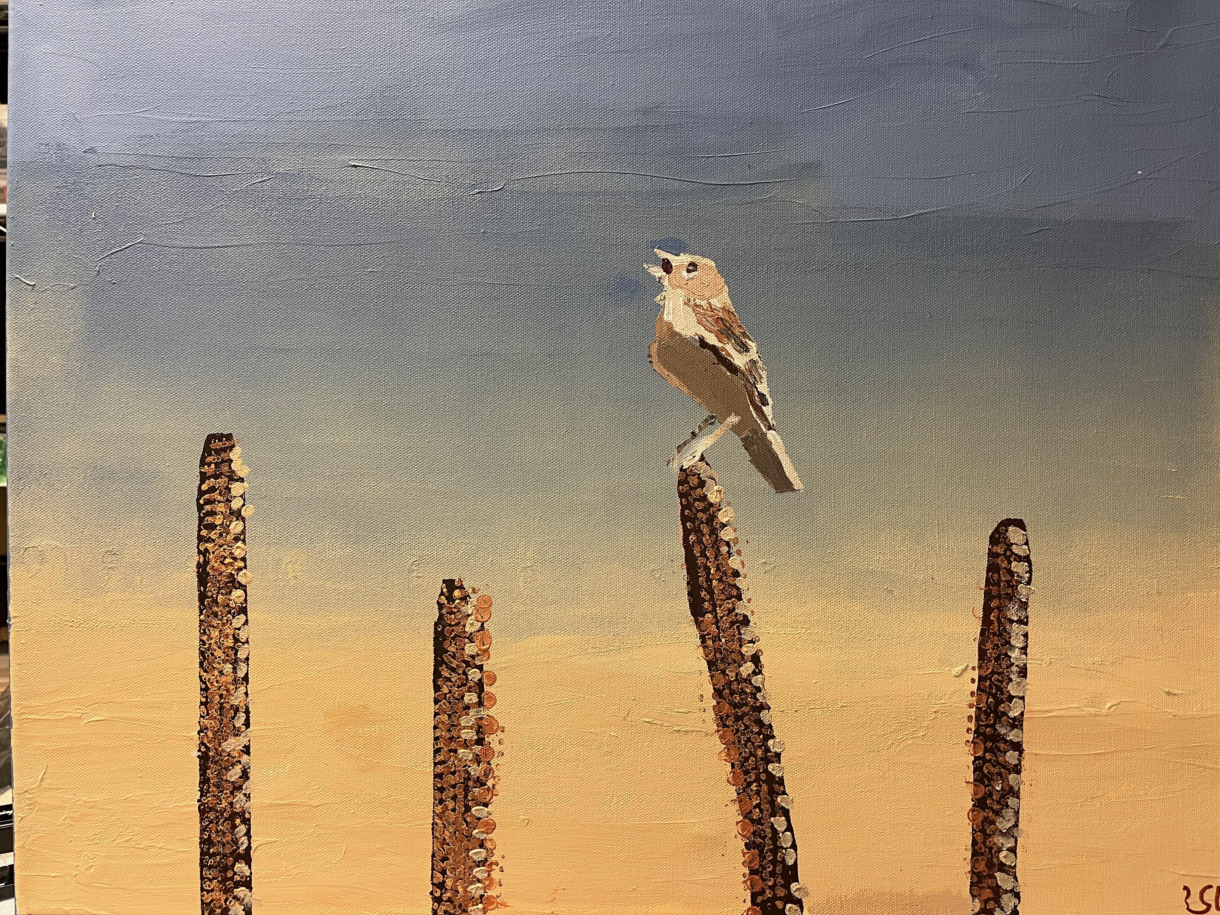 Shannon Vermeulen - Skyward Gaze