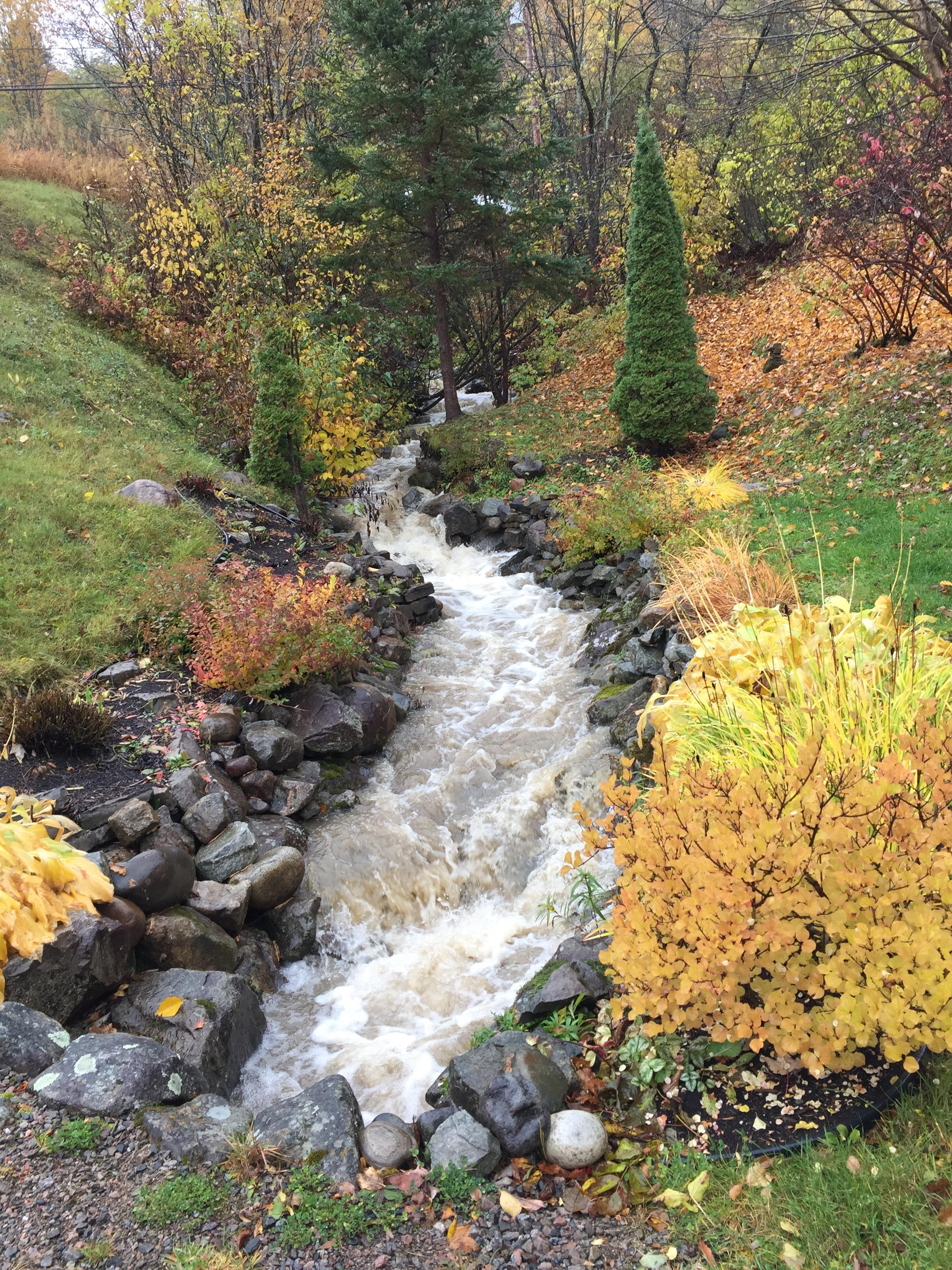 Roxanne Riggio - Fall Stream