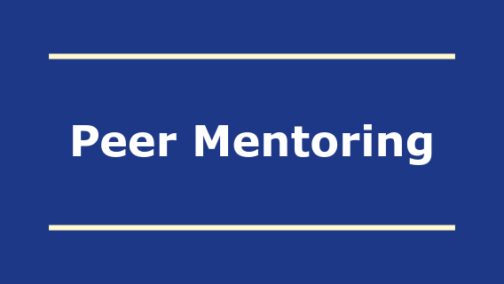 Graphic for Peer Mentoring One Pager