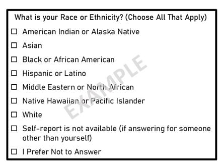 Image depicting a race/ethnicity choice selection