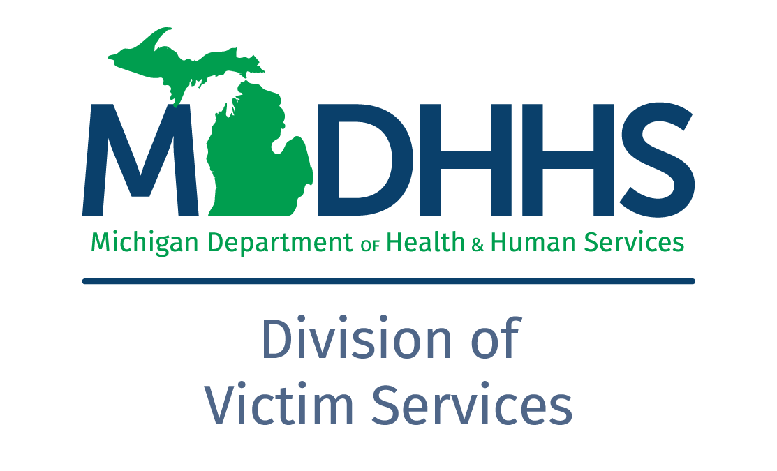 DVS Logo