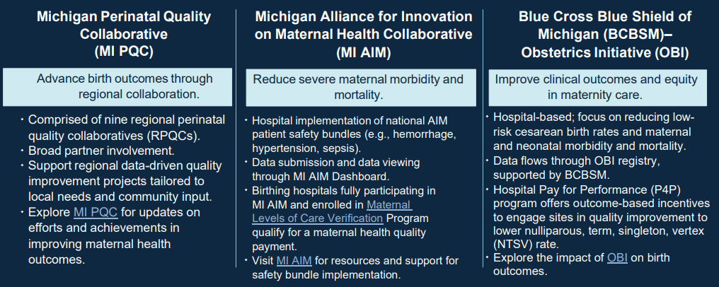MI Maternal Health Quality Improvement Initiative