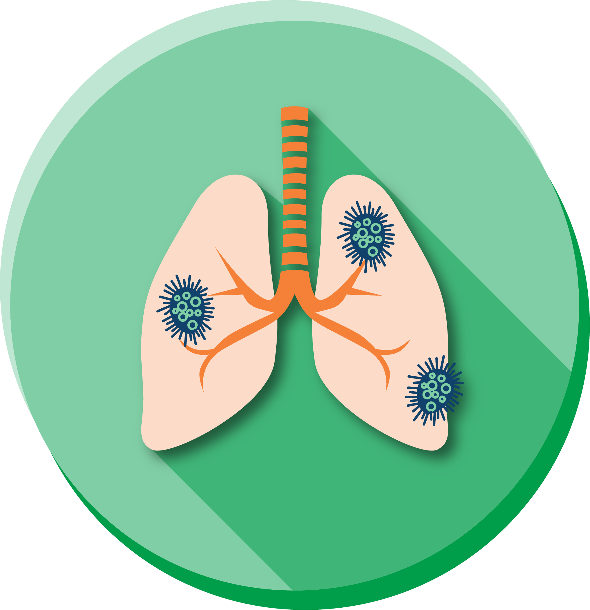 imms Pertussis