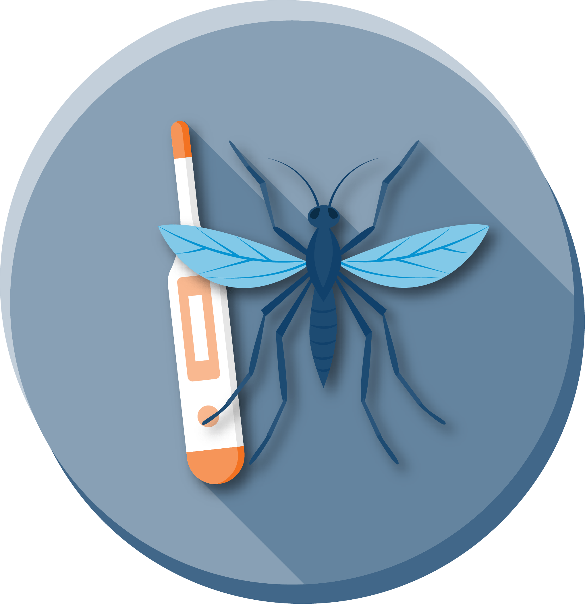 a digital thermometer and a mosquito