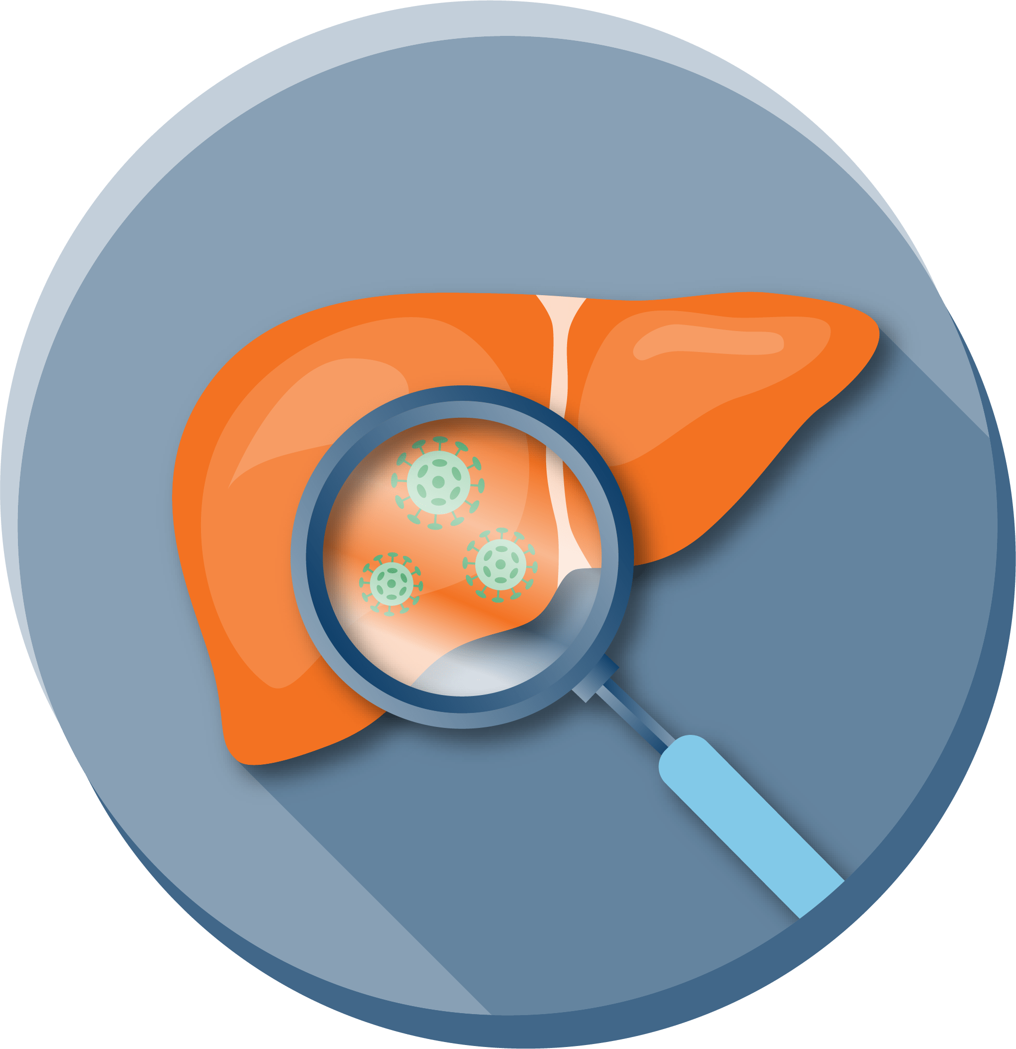A magnifying glass looking at viruses on a liver