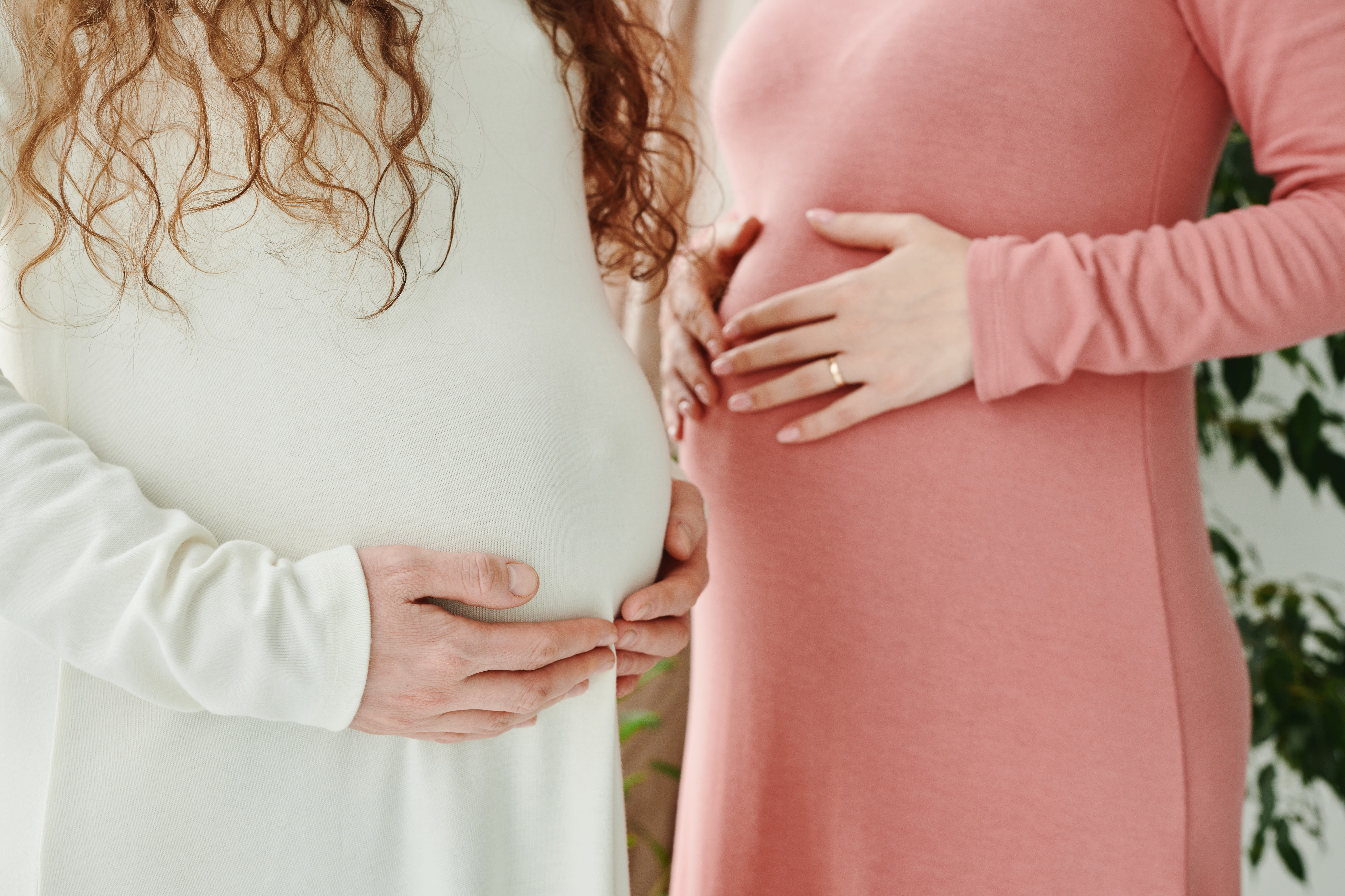 Two pregnant bellies maternity 
