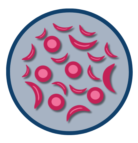 image for info page