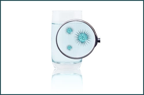 Glass of water with a magnifying glass held up to it, showing bacteria