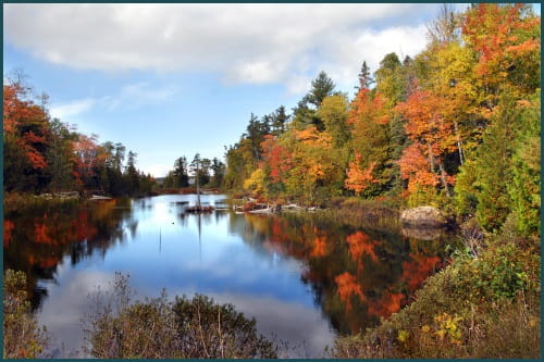 Lake surrounded by trees in the fall