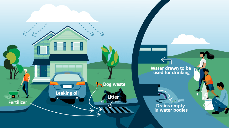 Illustration showing household sources of groundwater contamination, including lawn fertilizer, leaking car oil, dog waste, and litter. Drawing also shows wastewater draining into a river that drinking water is drawn from, with a group of people gathering litter next to it.