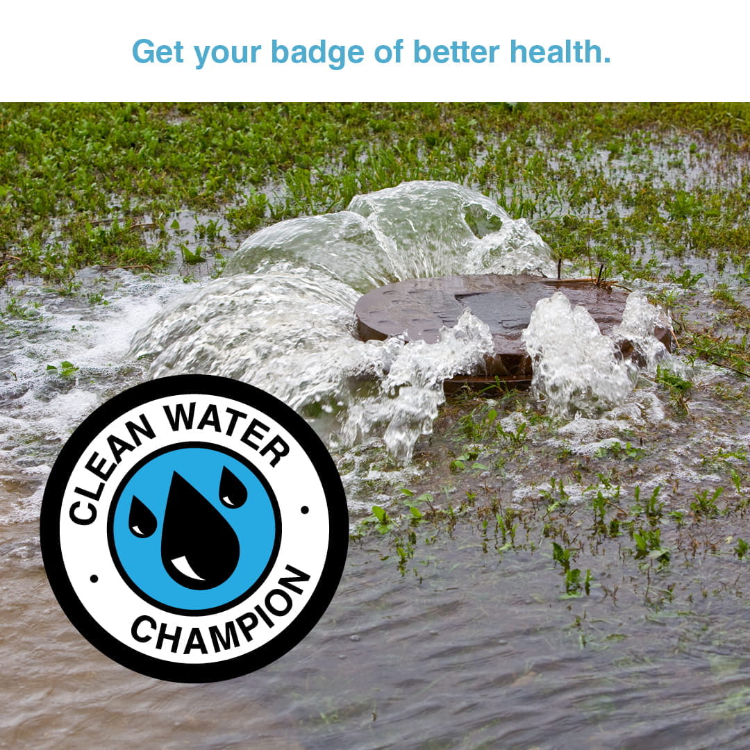 plants in standing water with a badge reading "clean water champion" overlaid 