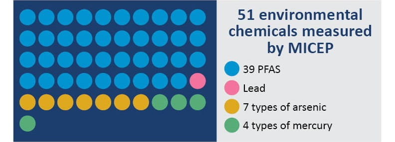 Infographic indicating the 51 environmental chemicals measured by MICEP. Chemicals include 39 PFAS, lead, 7 types of arsenic, and 4 types of mercury.