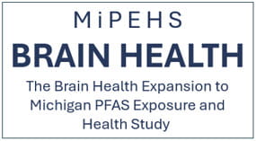 MIPEHS Brain Health Image