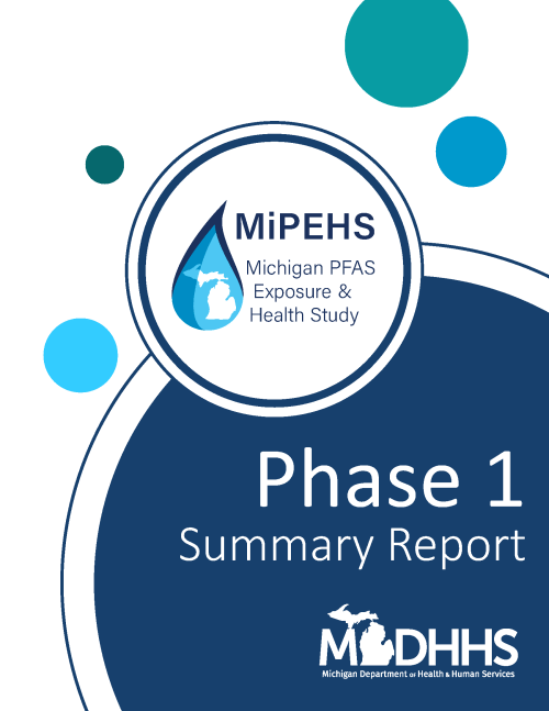 Thumbnail of the MiPEHS Phase 1 Summary Report
