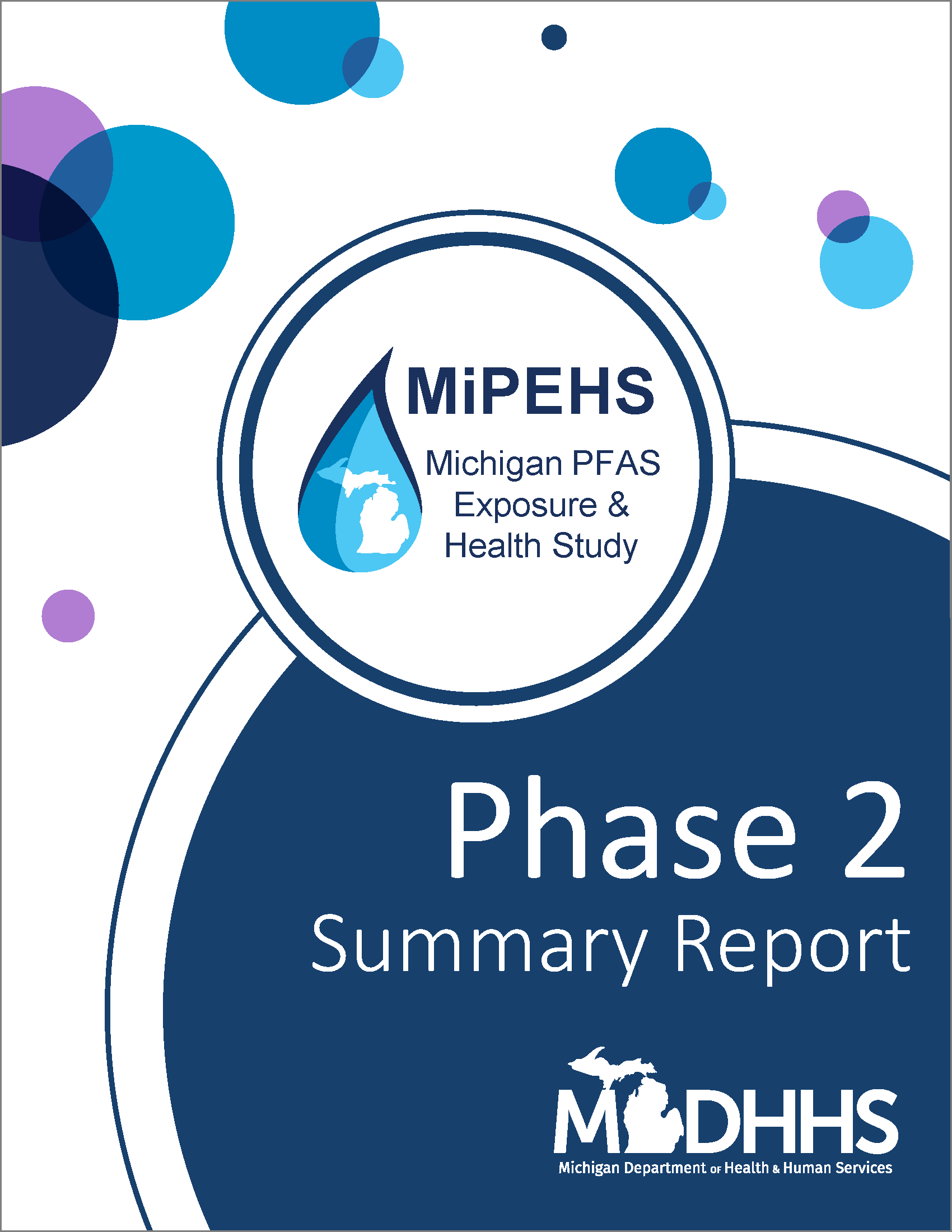 Thumbnail of the MiPEHS phase 2 summary report