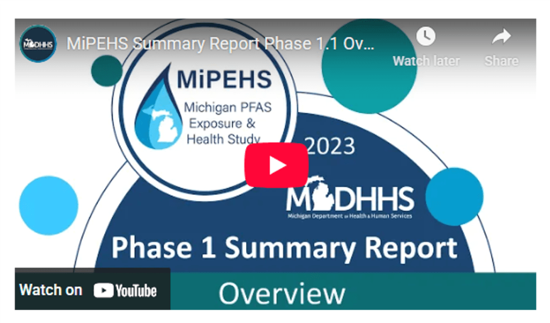 MiPEHS Phase 1 Summary Report video thumbnail