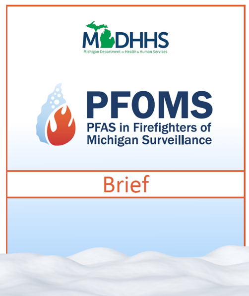 Thumbnail image of the PFOMS project brief