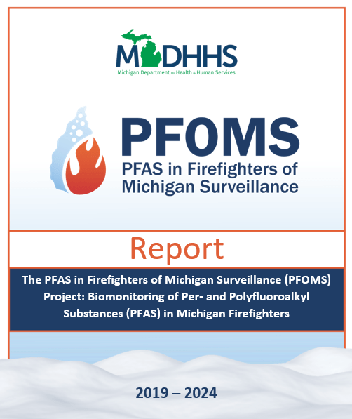 Thumbnail image of the PFOMS project report