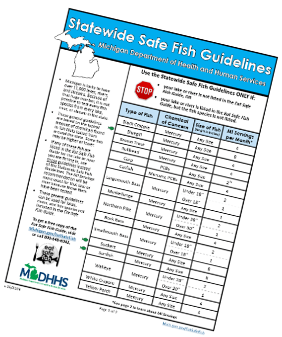 Statewide Safe Fish Guidelines thumbnail