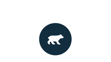 Bear icon