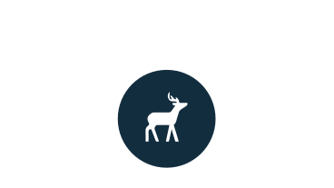 Deer icon