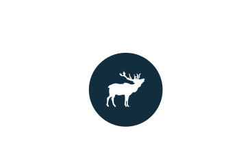 Elk icon