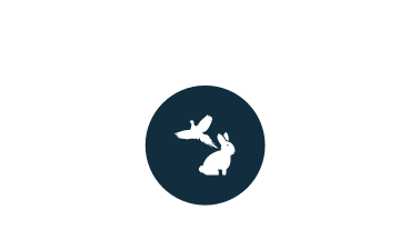 Small game icon