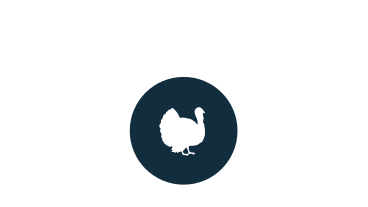 Turkey icon