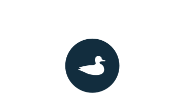Waterfowl icon