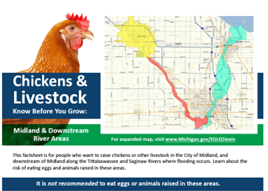 Thumbnail image of the Chickens & Livestock: Know Before You Grow fact sheet for the Midland and Downstream River Area. Click to view PDF.