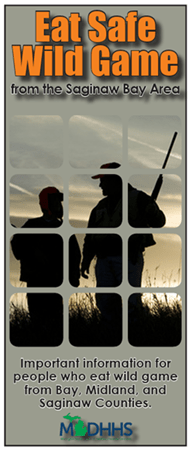 Thumbnail image for the Eat Safe Wild Game from the Saginaw Bay Area brochure. Click for PDF.