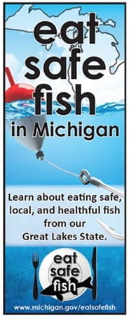 Thumbnail image for the Eat Safe Fish brochure. Click to view PDF.