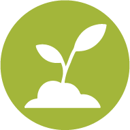 Soil icon