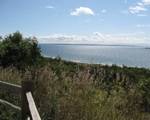 Lake Michigan viewed from shoreline