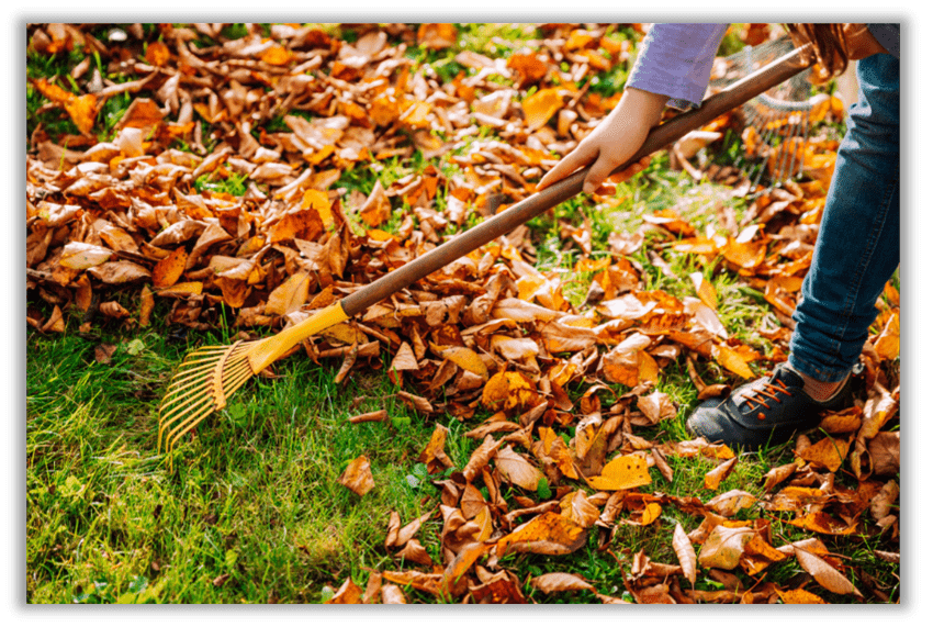 Fall leaves being raked off of grass