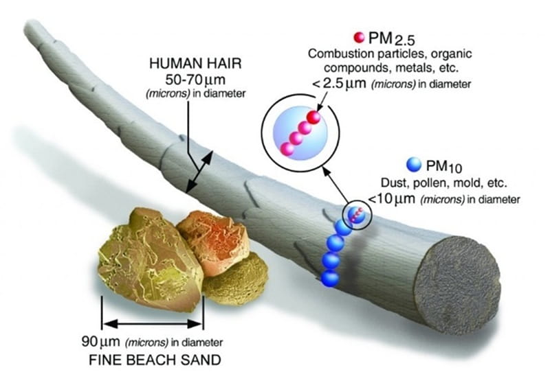 Illustration showing that PM 2.5 is much smaller than the width of a human hair, a fine grain of sand, or even pollen, dust,  and mold