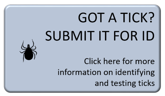 Button with image of a tick and text reading "Got a tick? Submit it for ID. Click here for instructions or to learn more."