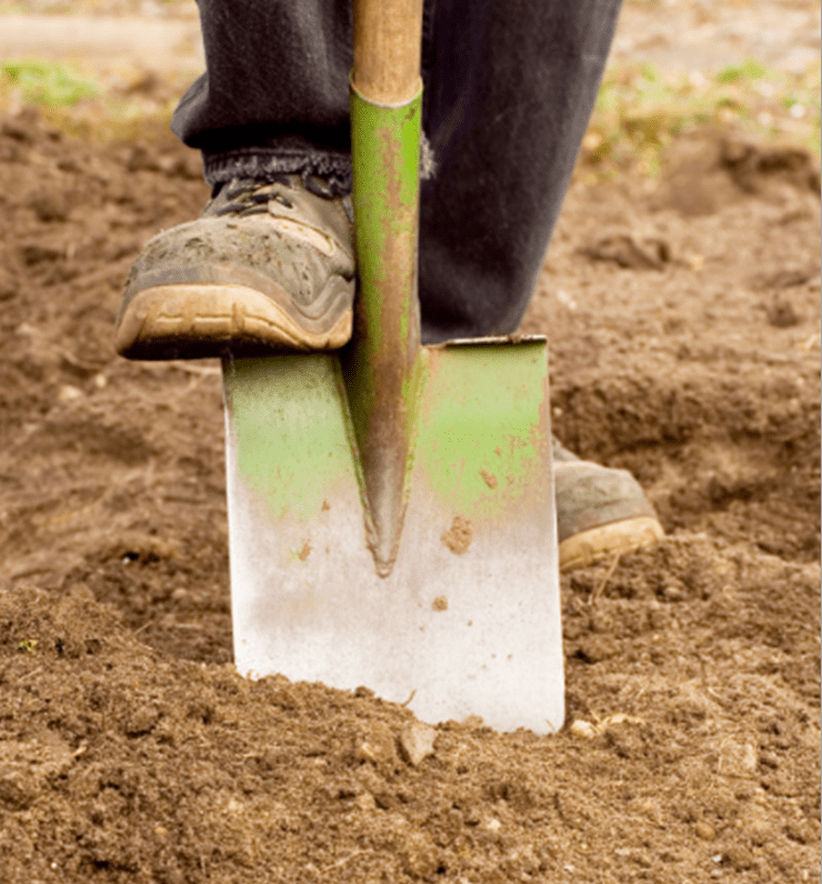 Shovel with a person's foot pushing it into the dirt