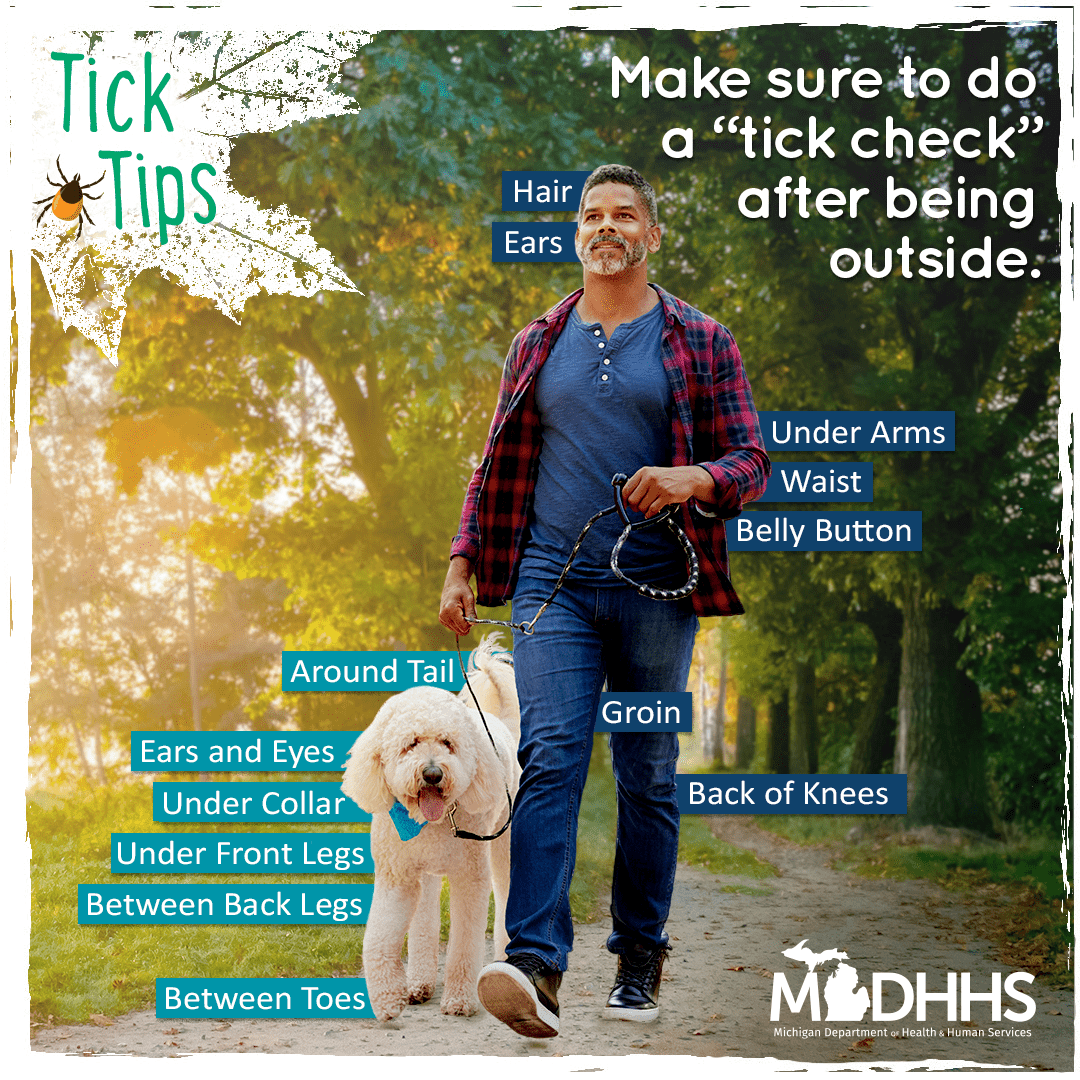 Man walking dog on a wooded trail. Text reads "Tick tips: Make sure to do a "tick check" after being outside." Graphic then notes places to check on the image, including the hair, ears, under arms, waist, belly button, groin, and back of knees on the man, and around the tail, ears and eyes, under the collar, under front legs, between back legs, and between toes on the dog. Graphic also includes the MDHHS logo.